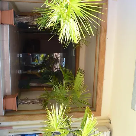 فندق Phoenix Family 3*
